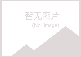 山东迎夏能源有限公司